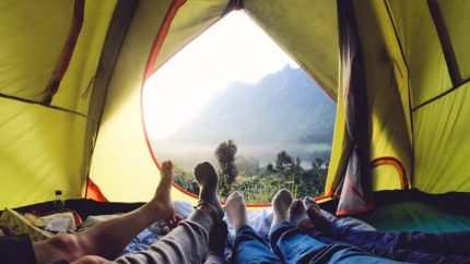 how to have perfect magic mushroom trip